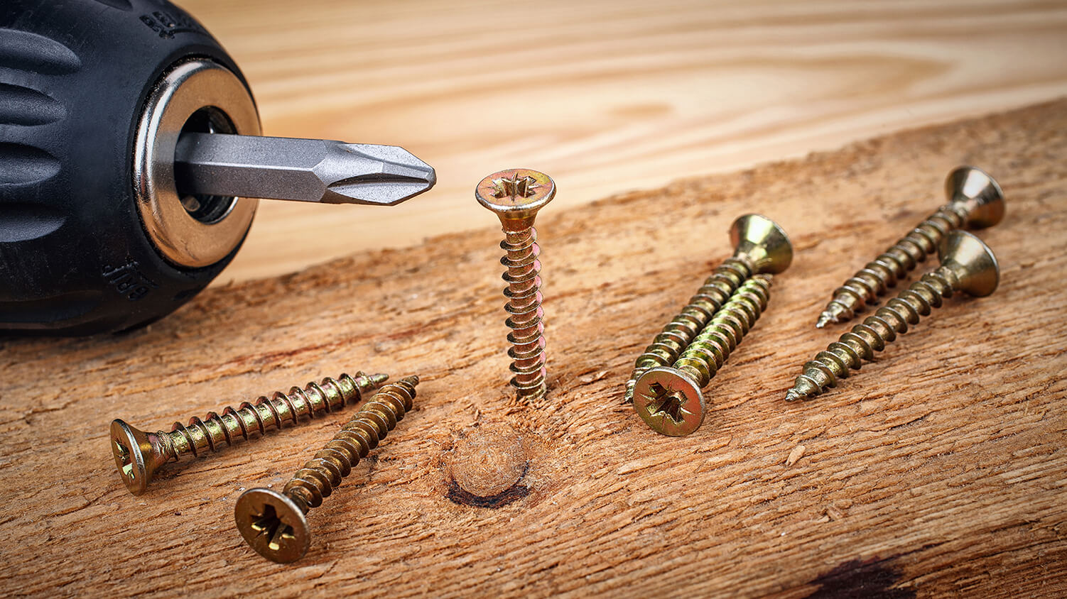 wood screw types and sizes